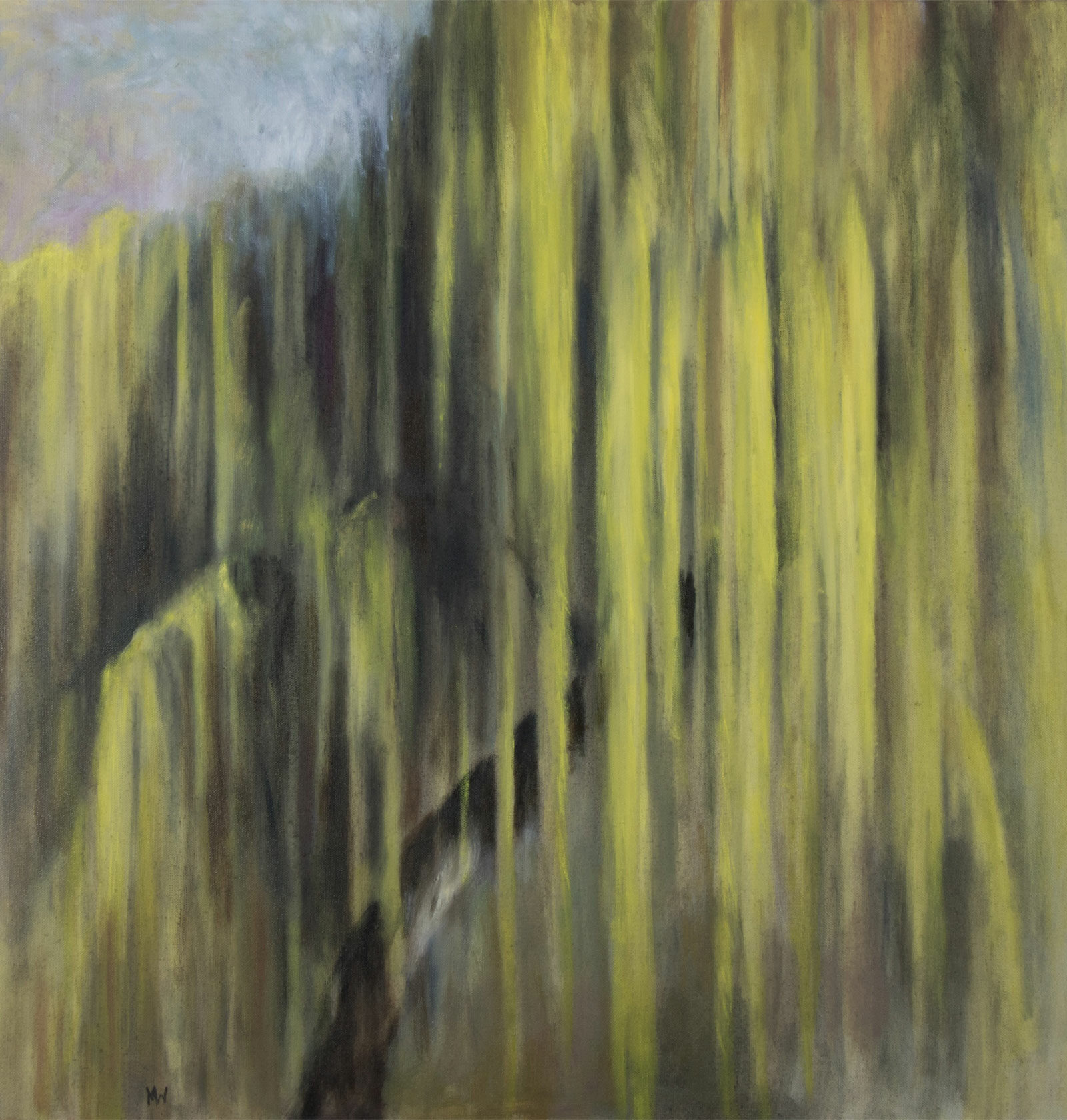 Portrait de saule pleureur,- Huile sur toile,- 80 x 80 cm
