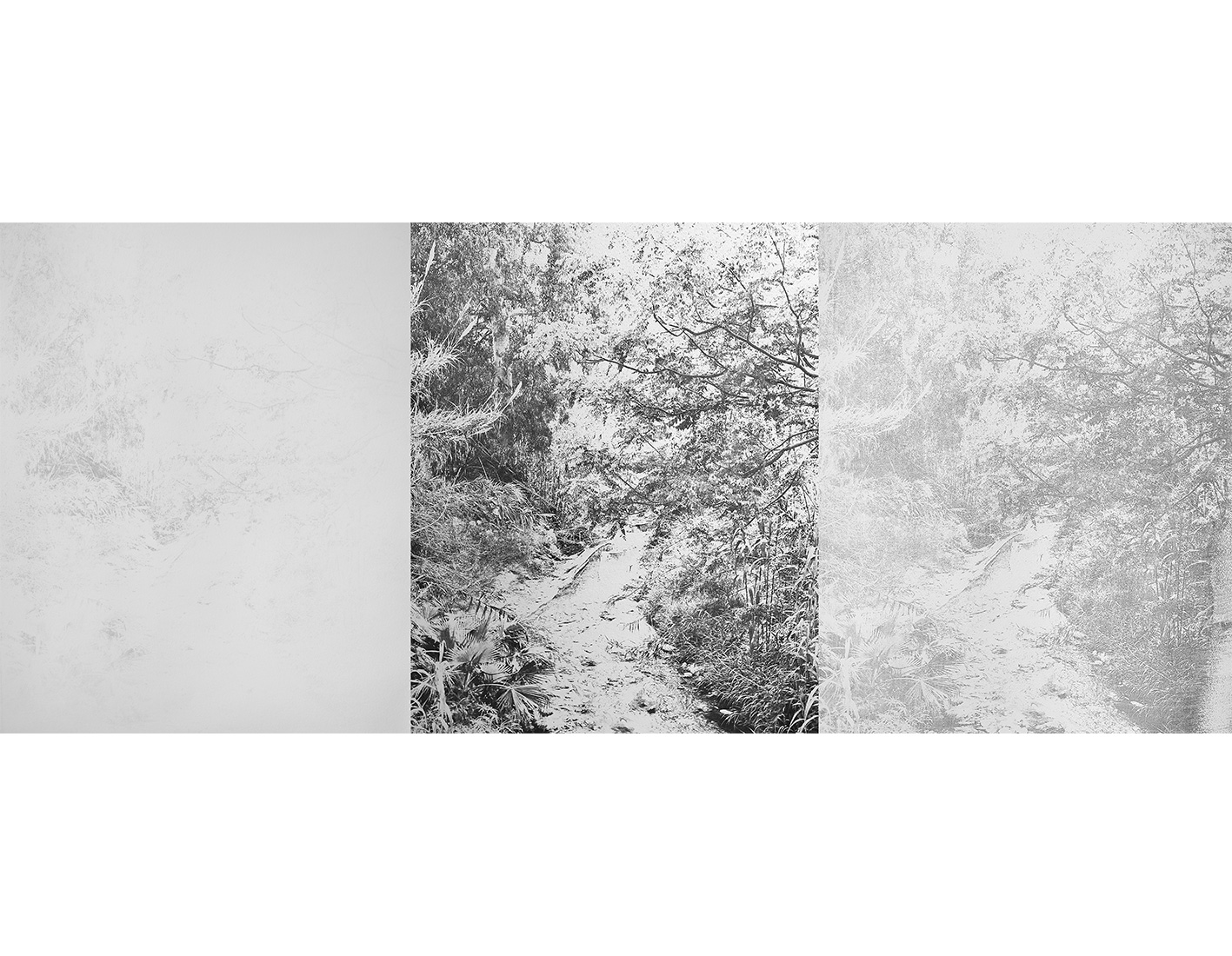 Looking-for-the-spirit-of-the-river-Isabelle-Ha-Eav-Ruiz