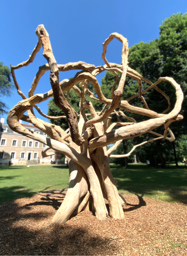 L'étreinte - Antoine Janot