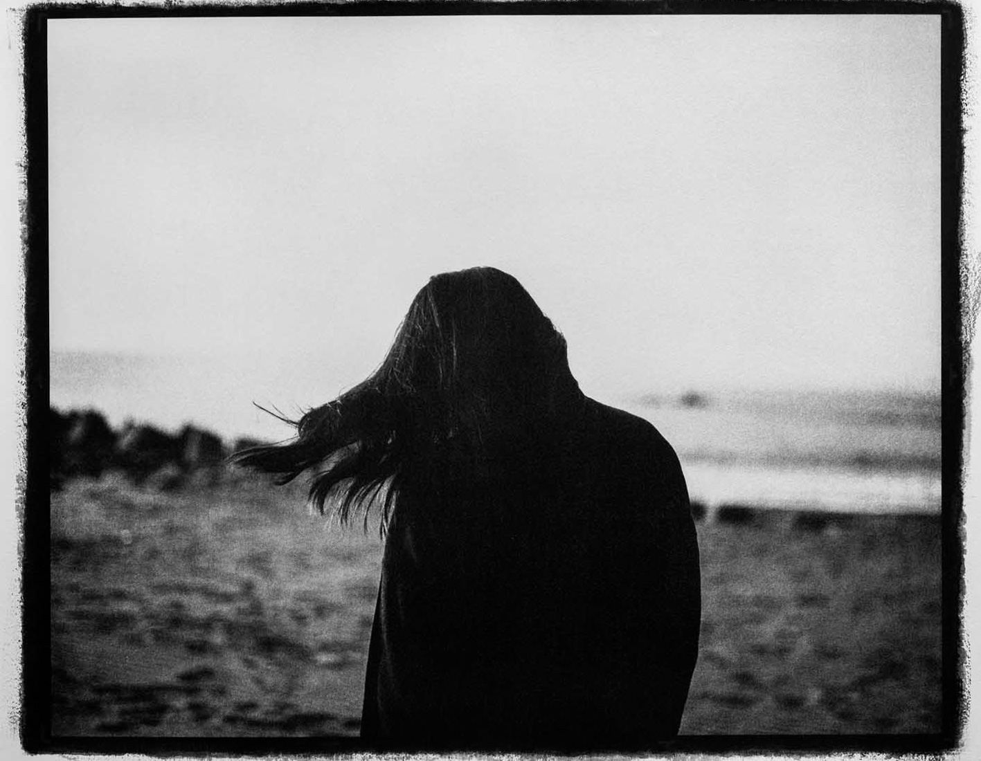 Palme-gomme-bichromatée-70-x-100-cm